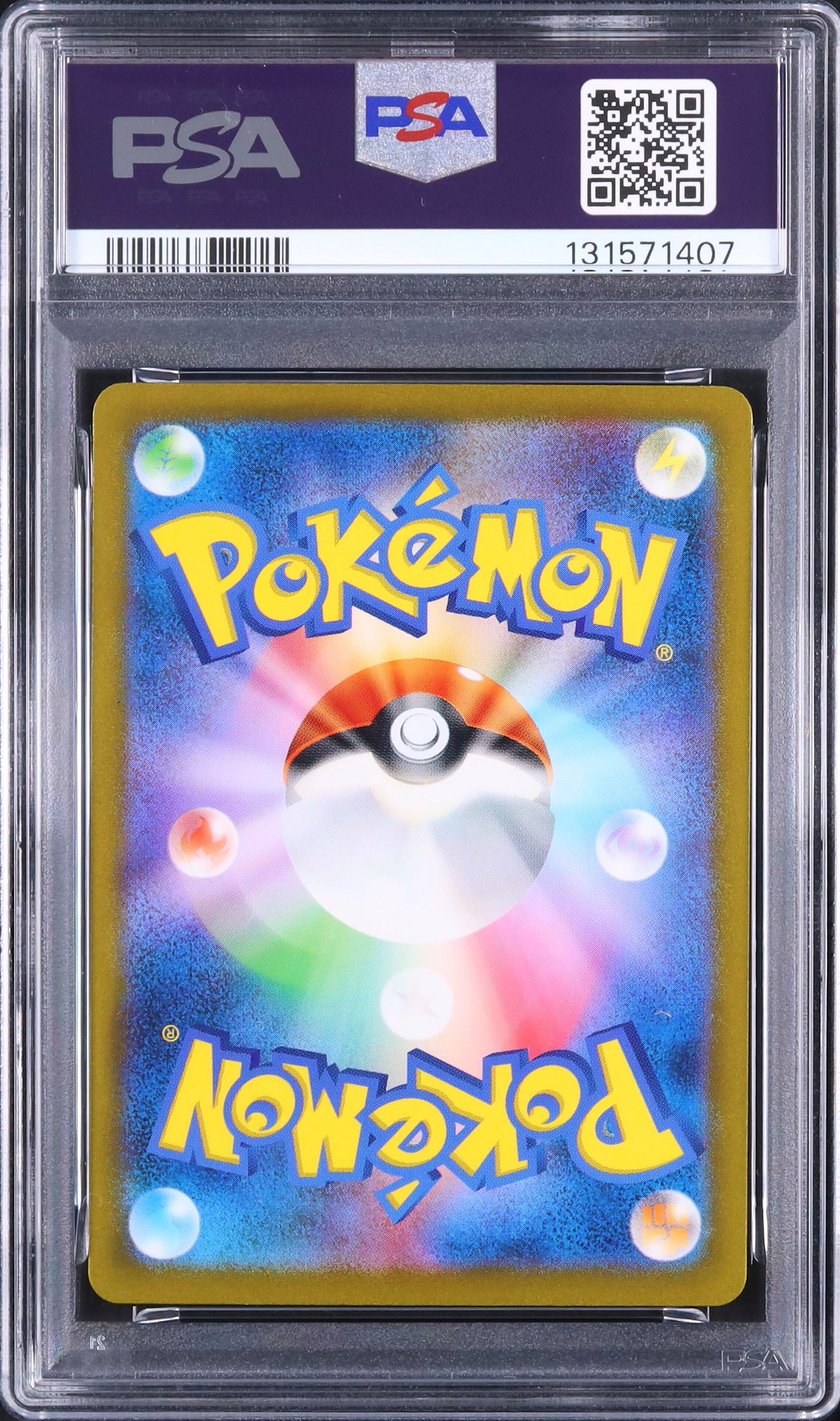 Wartortle - Face arrière