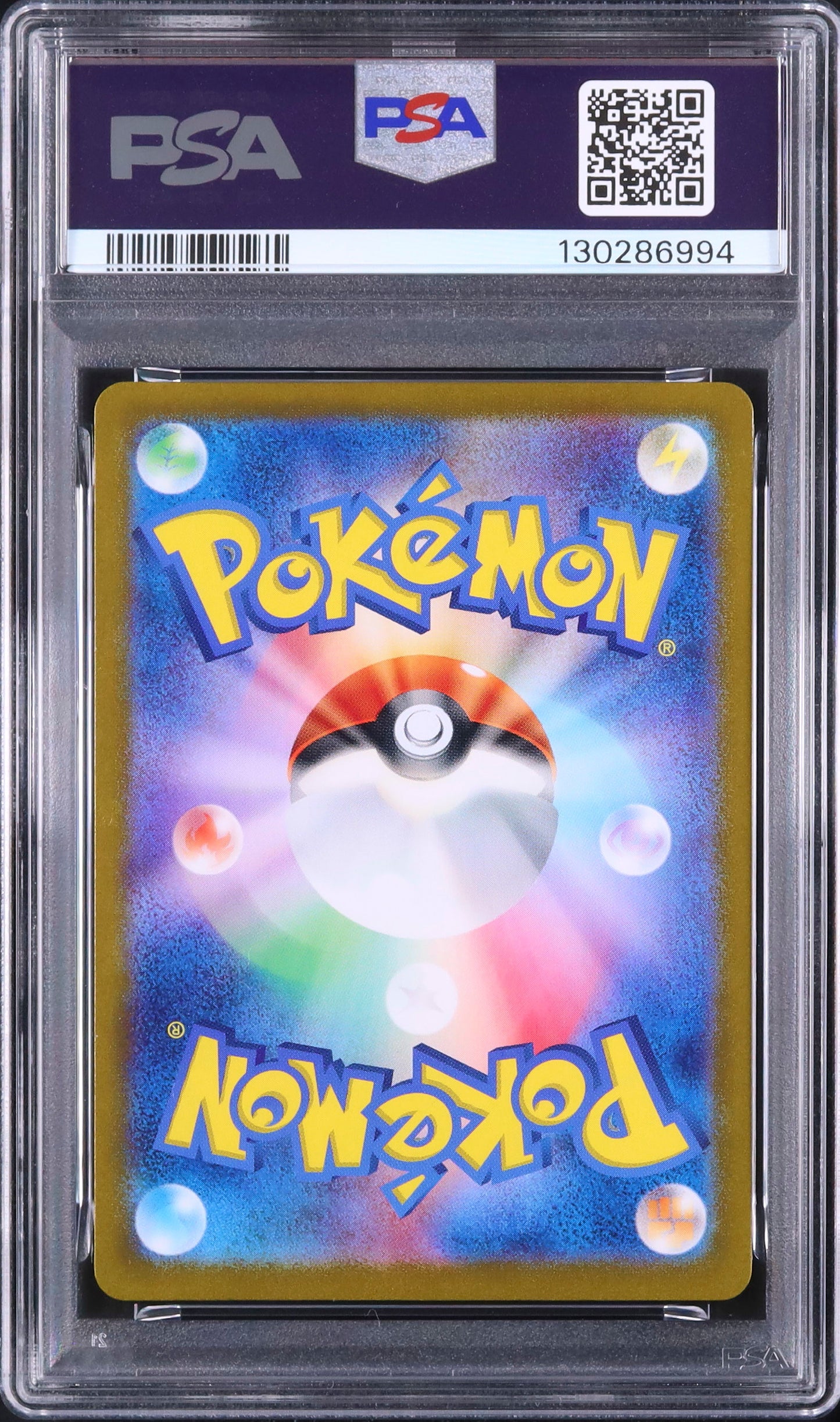 Wartortle - Face arrière