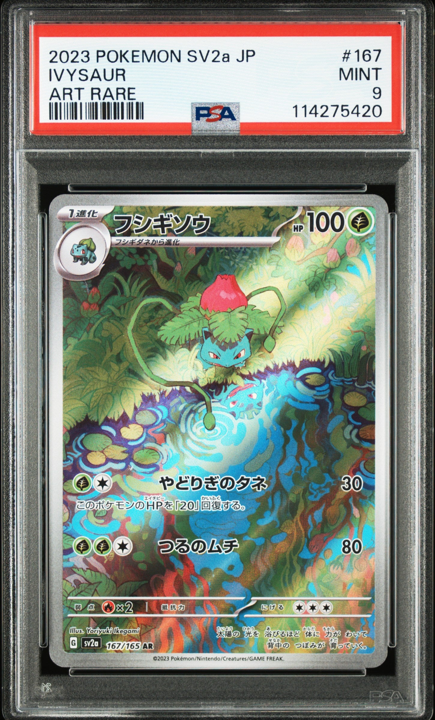 Card 75