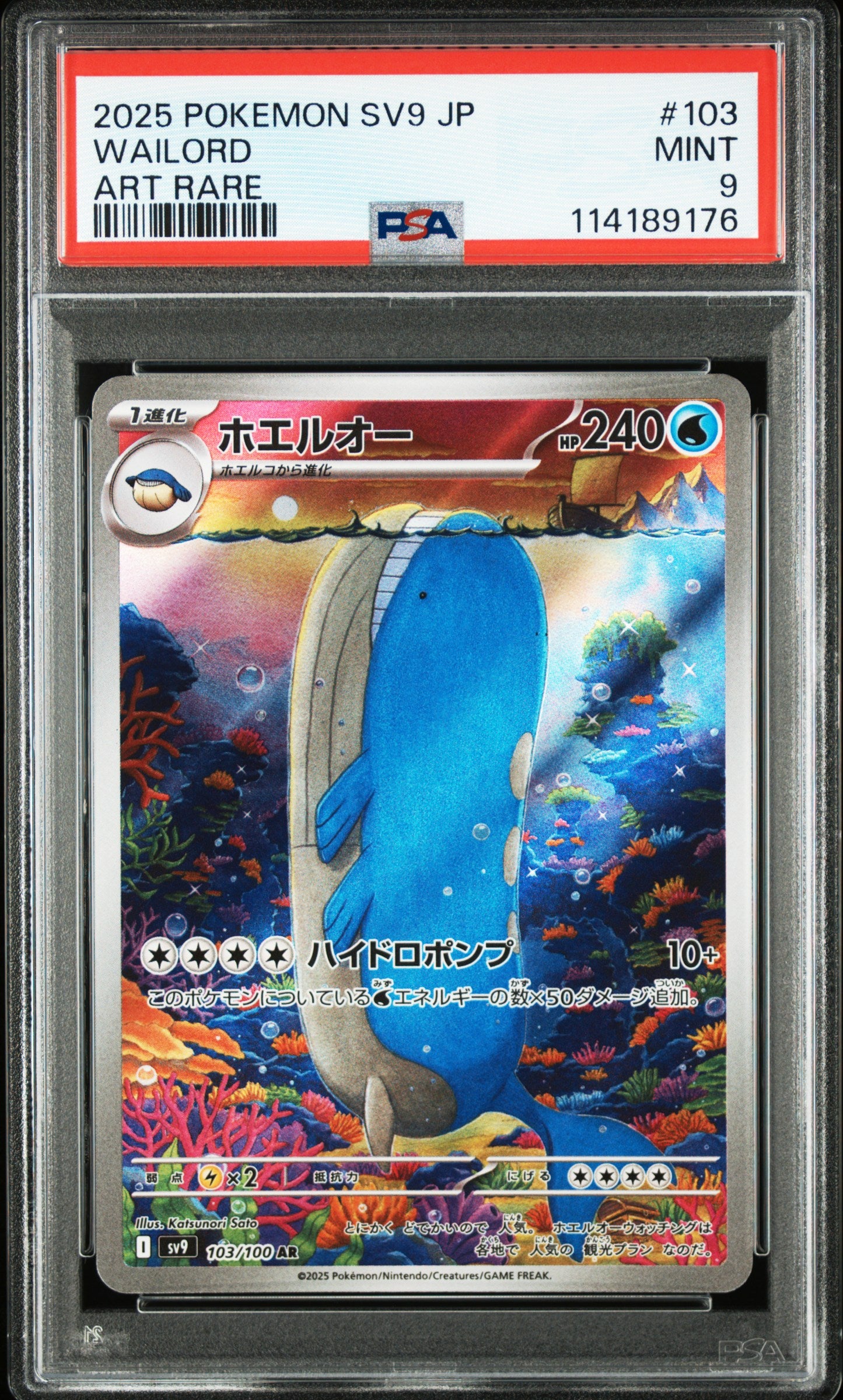 Card 81