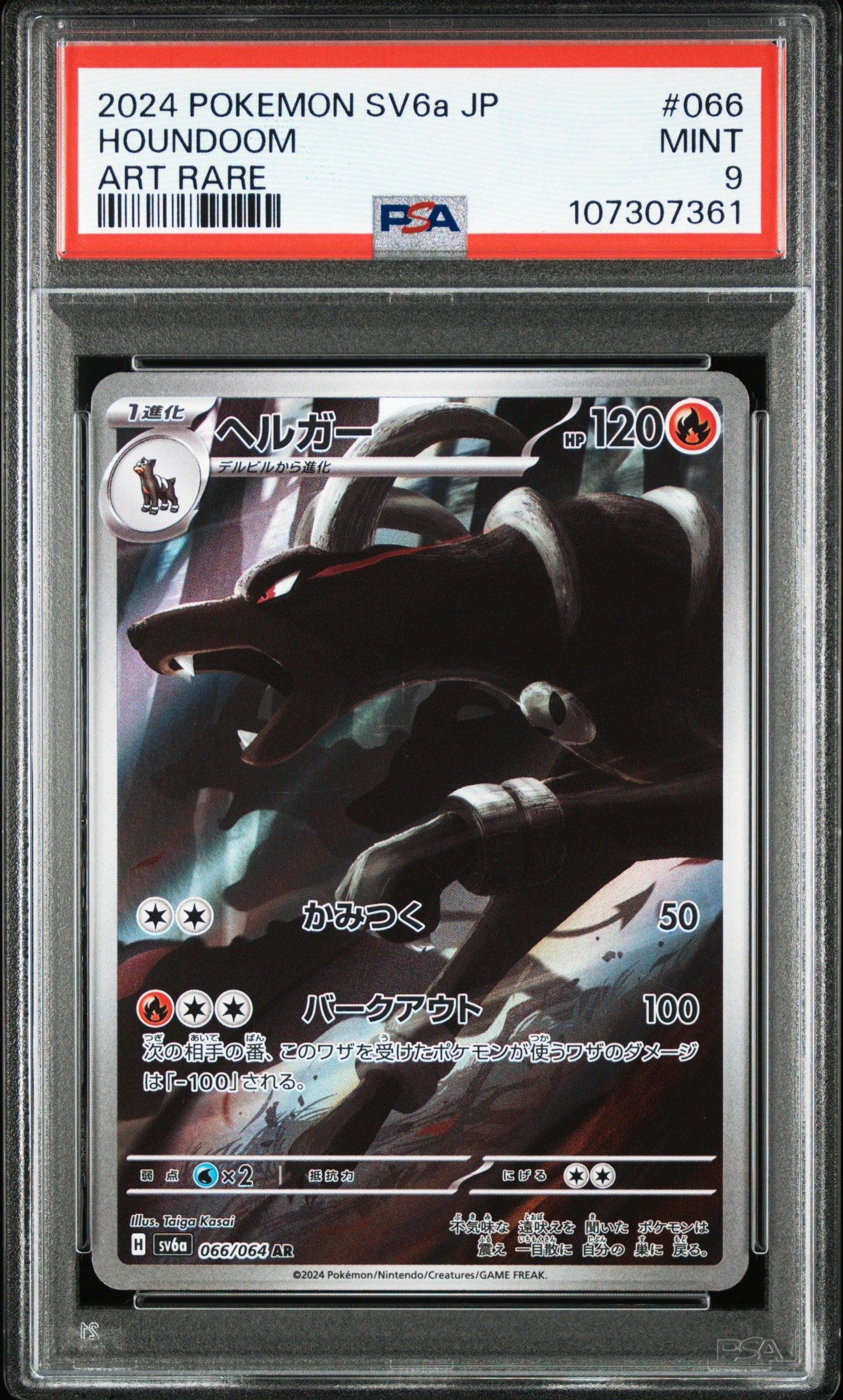 Card 81