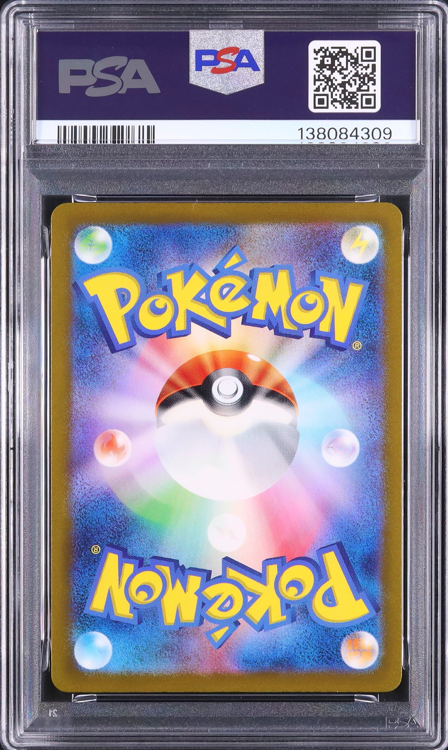 Groudon - Face arrière