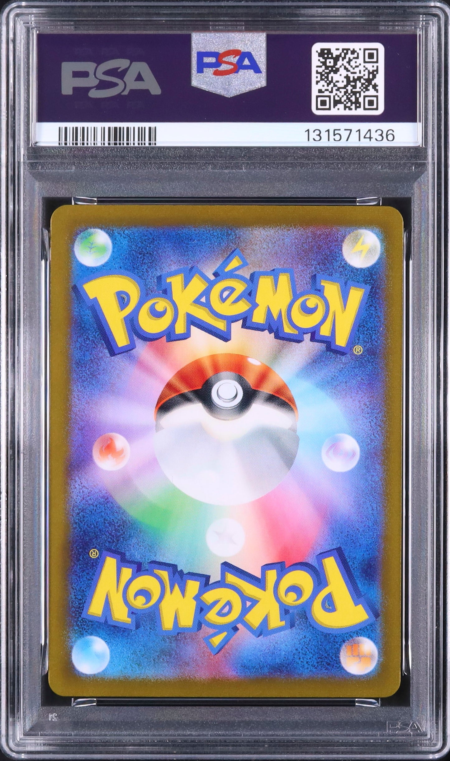 Wartortle - Face arrière