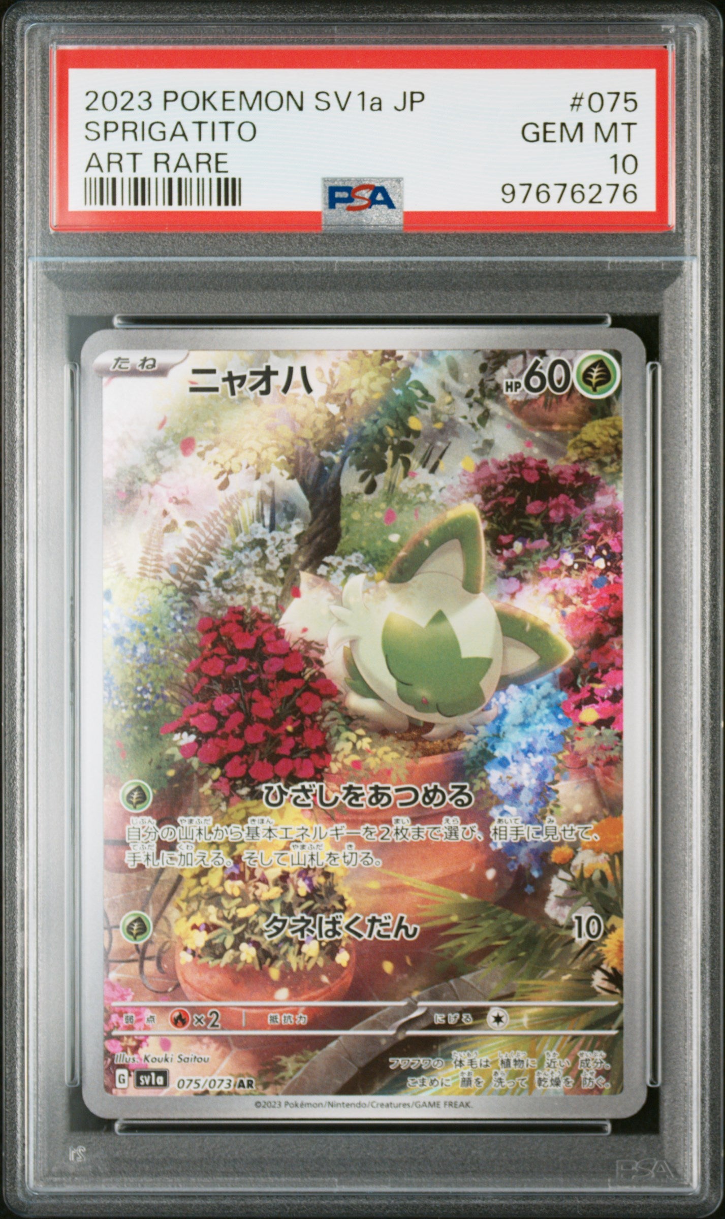 Card 80
