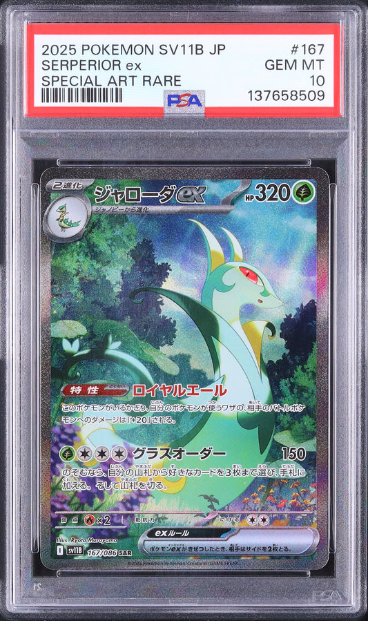 Serperior ex - Face avant