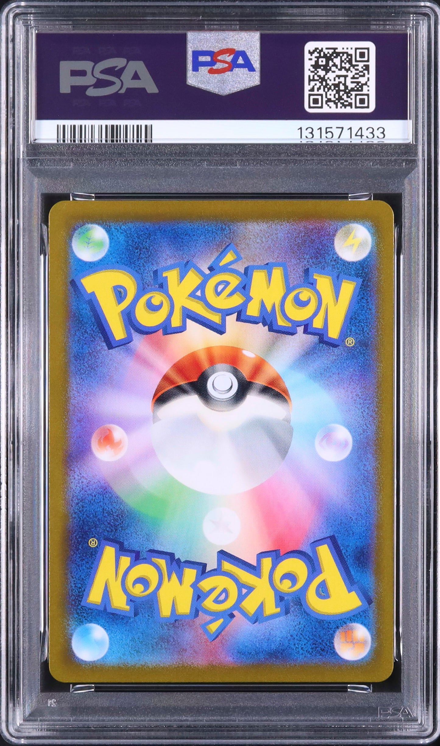 Squirtle - Face arrière