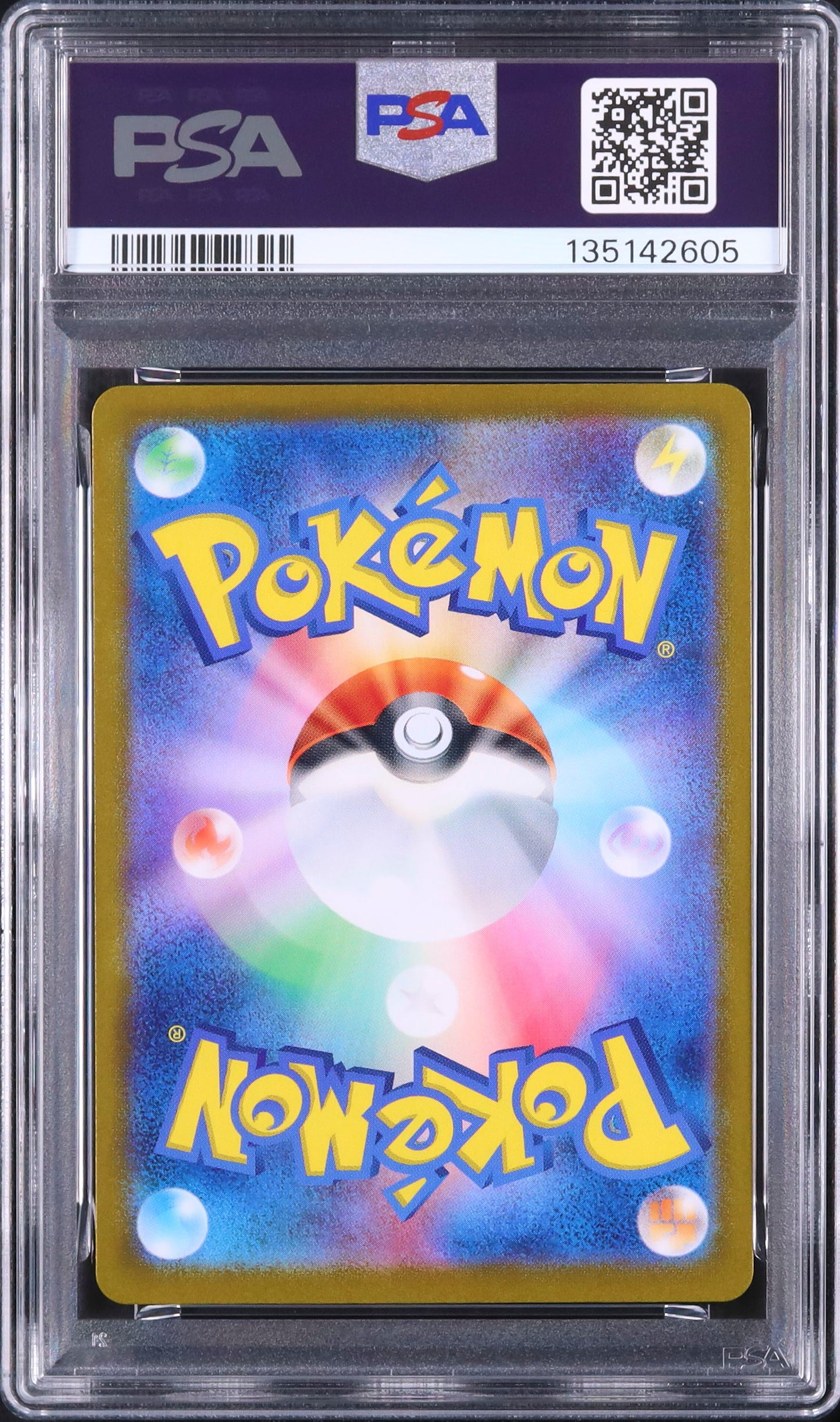 Squirtle - Face arrière