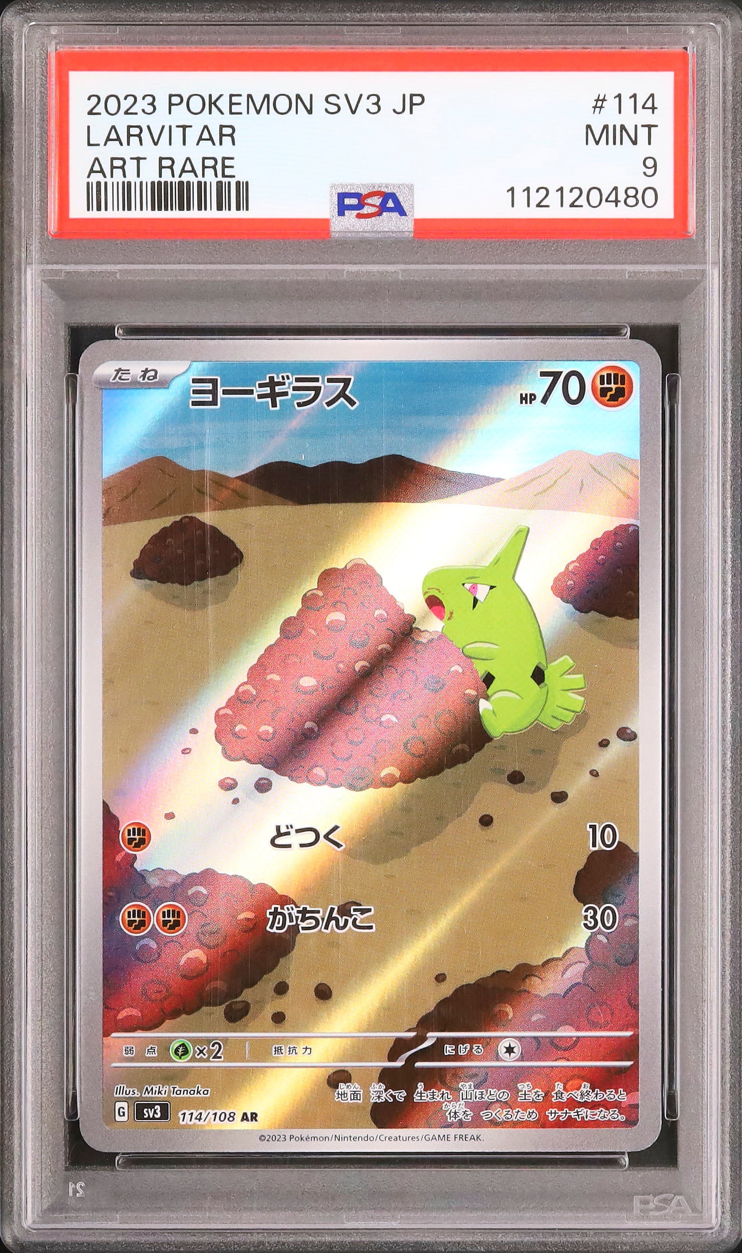 Larvitar - Face avant