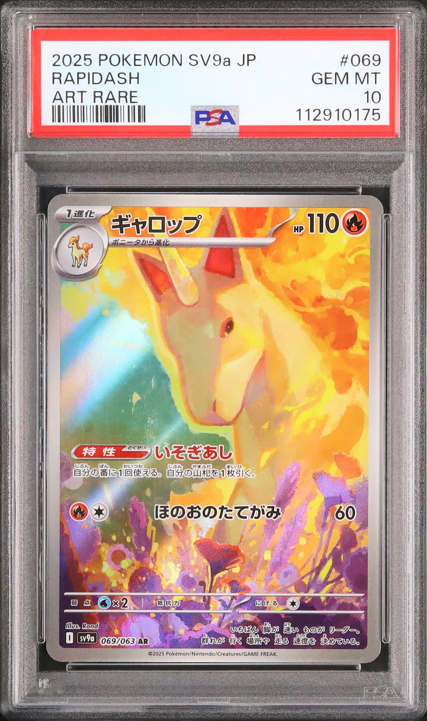 Rapidash - Face avant