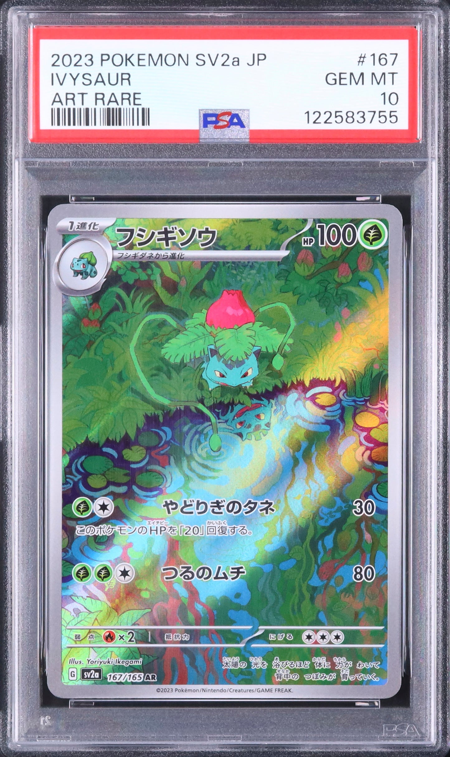 Ivysaur - Face avant