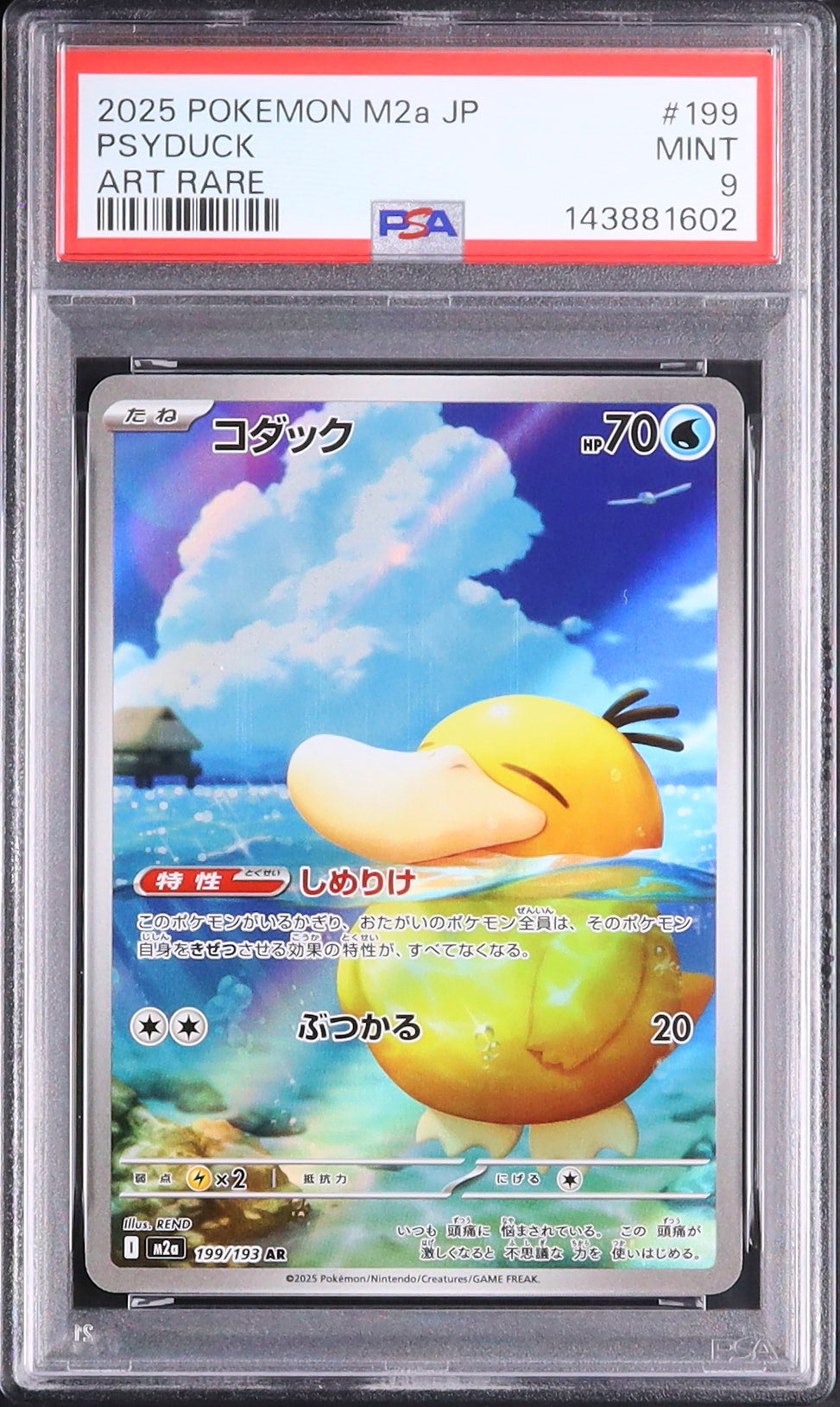 Psyduck - Face avant