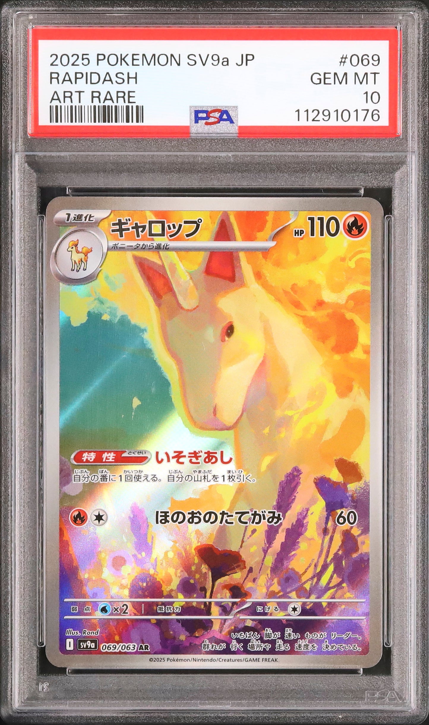 Rapidash - Face avant