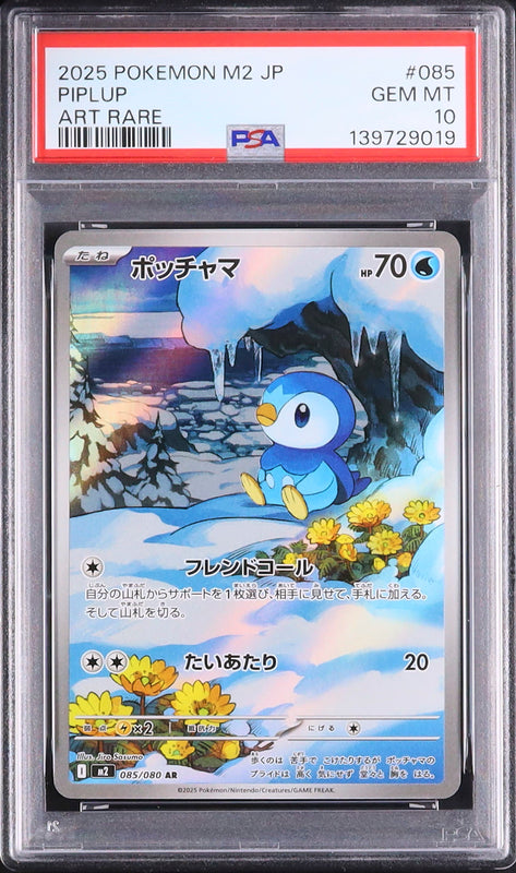 Piplup - Face avant