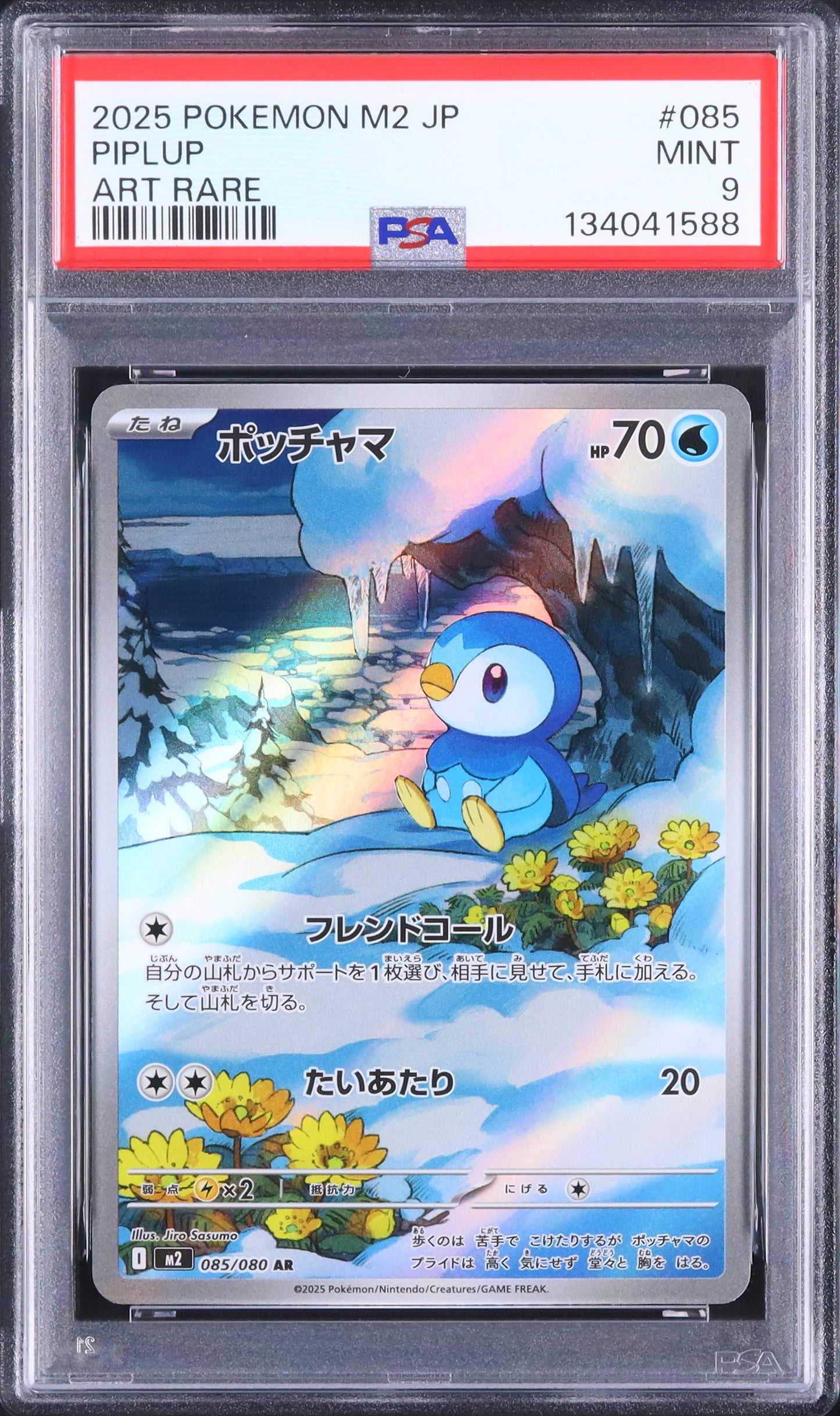Piplup - Face avant