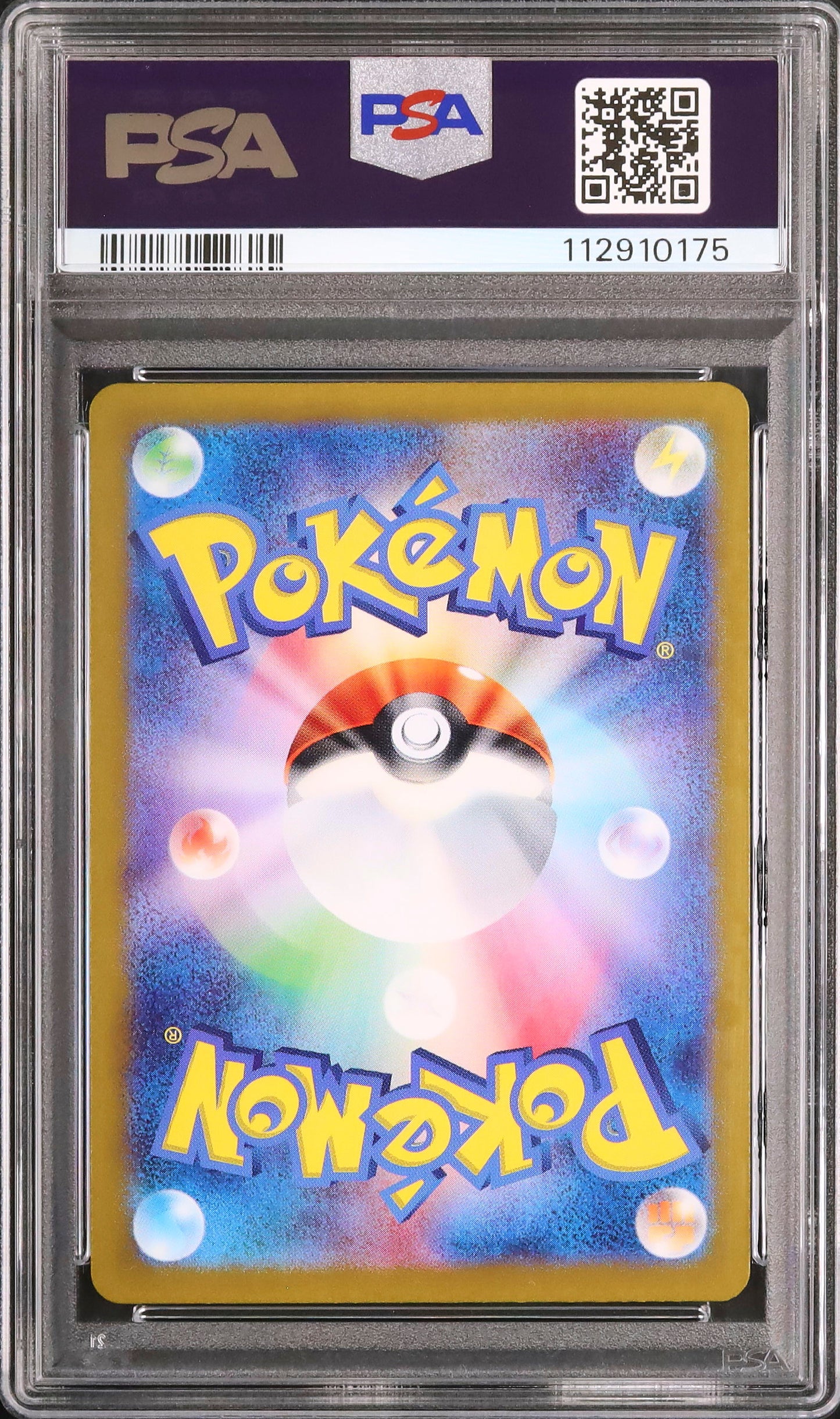 Rapidash - Face arrière