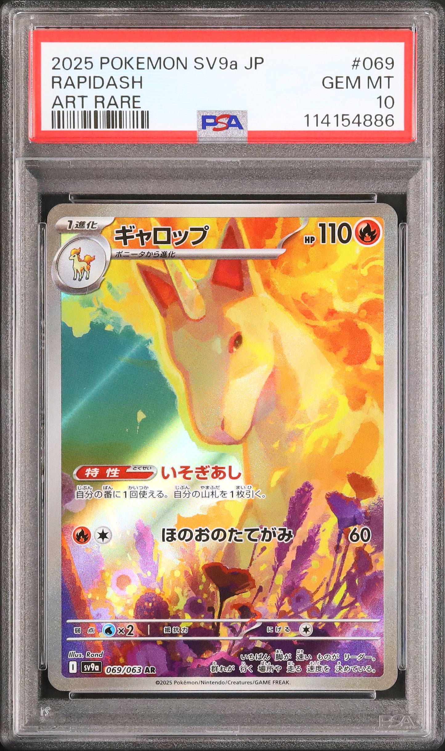 Rapidash - Face avant