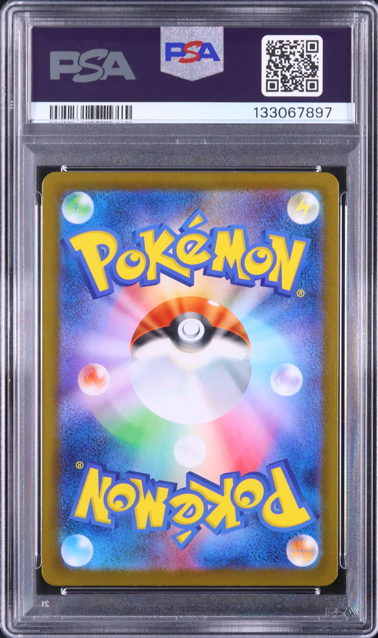 Piplup - Face arrière