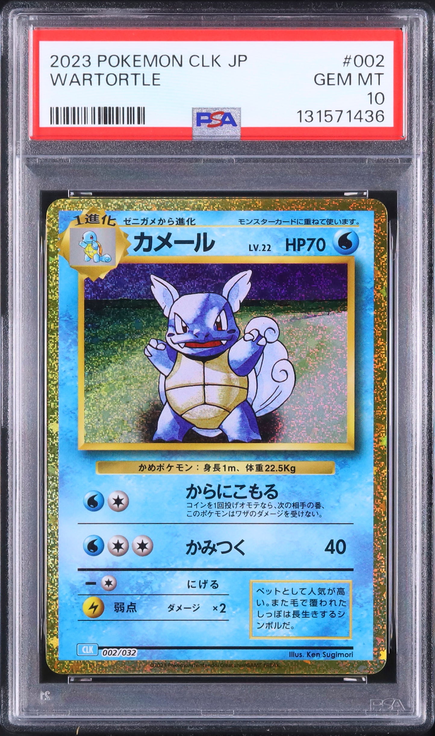 Wartortle - Face avant