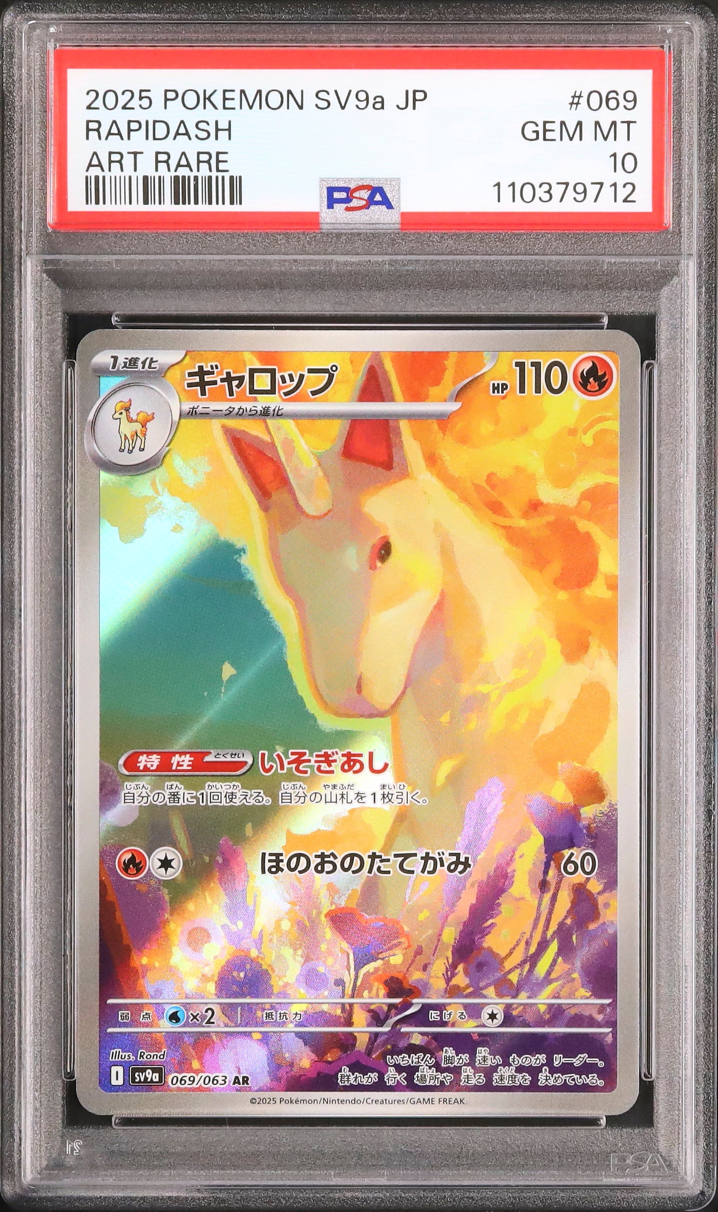 Rapidash - Face avant