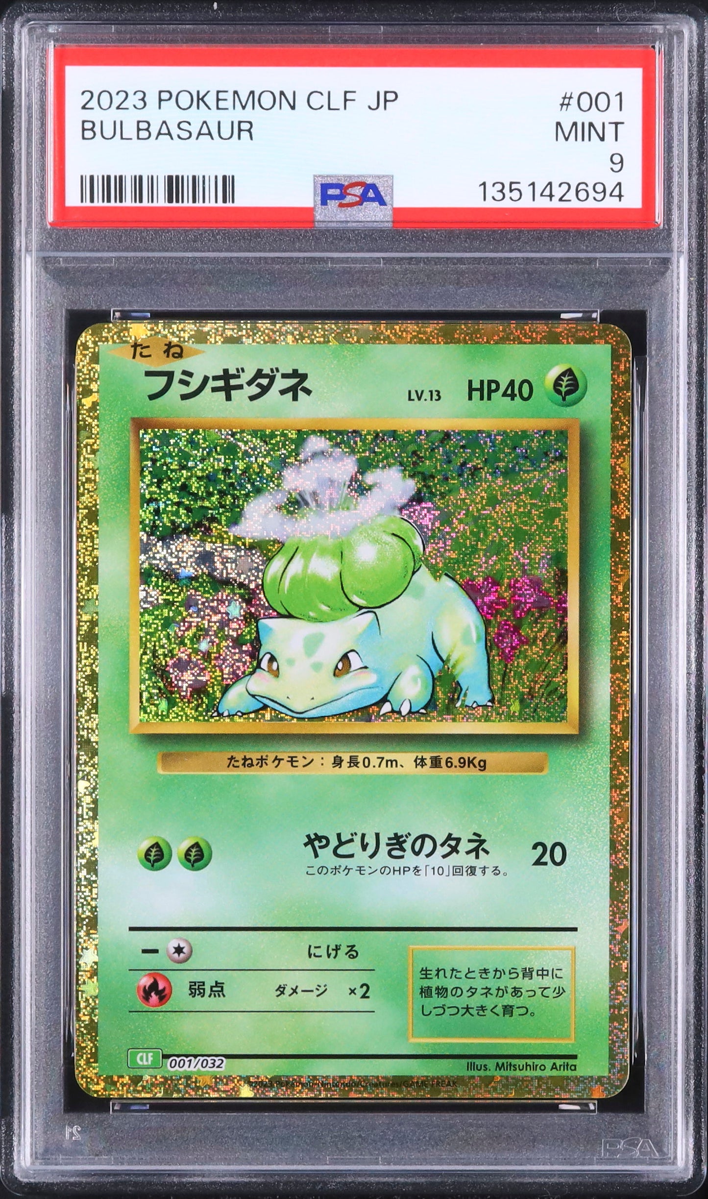 Bulbasaur - Face avant