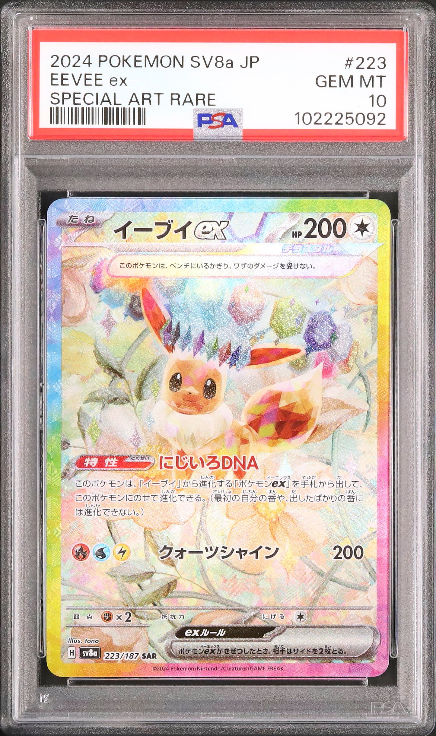 Eevee ex - Face avant