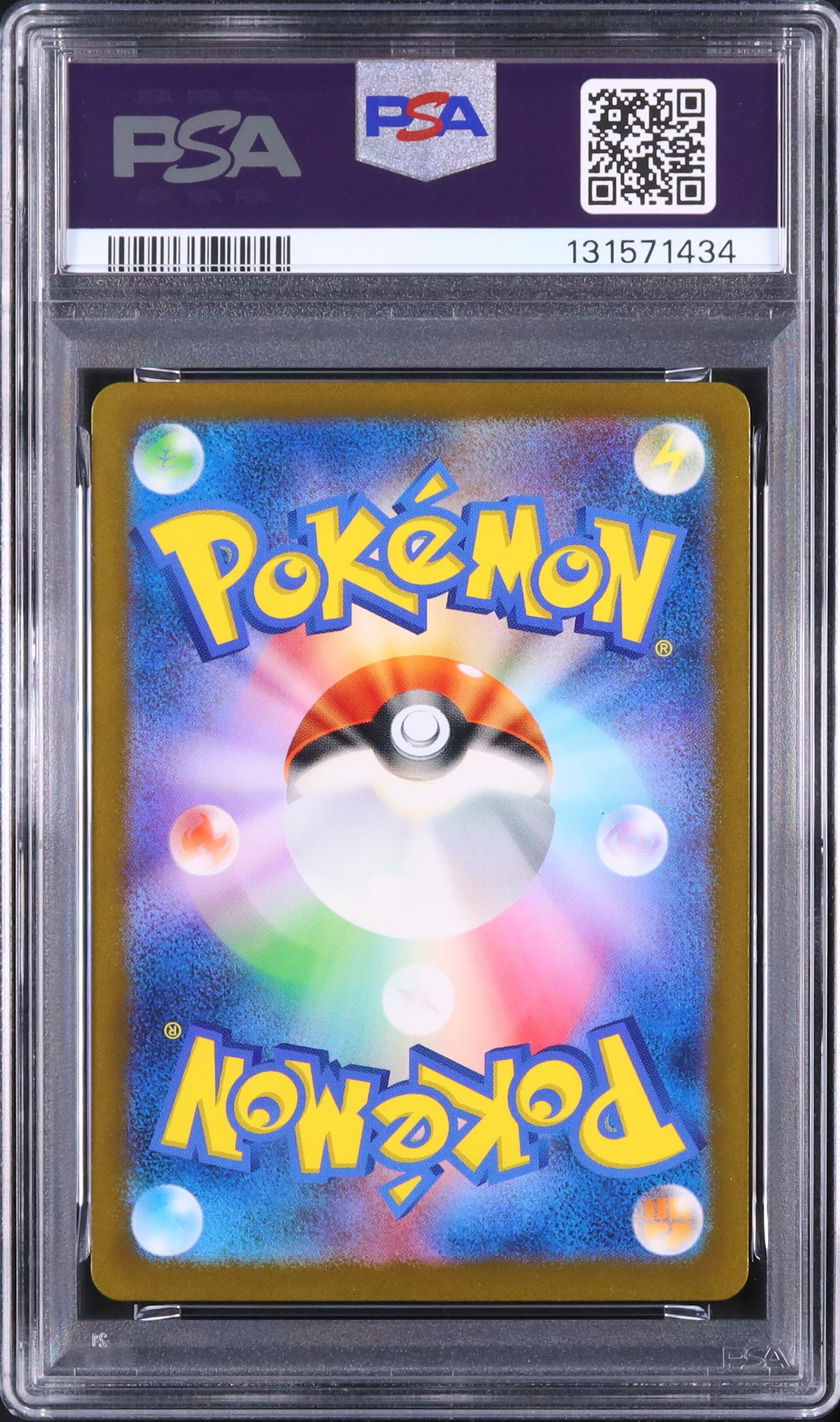 Squirtle - Face arrière