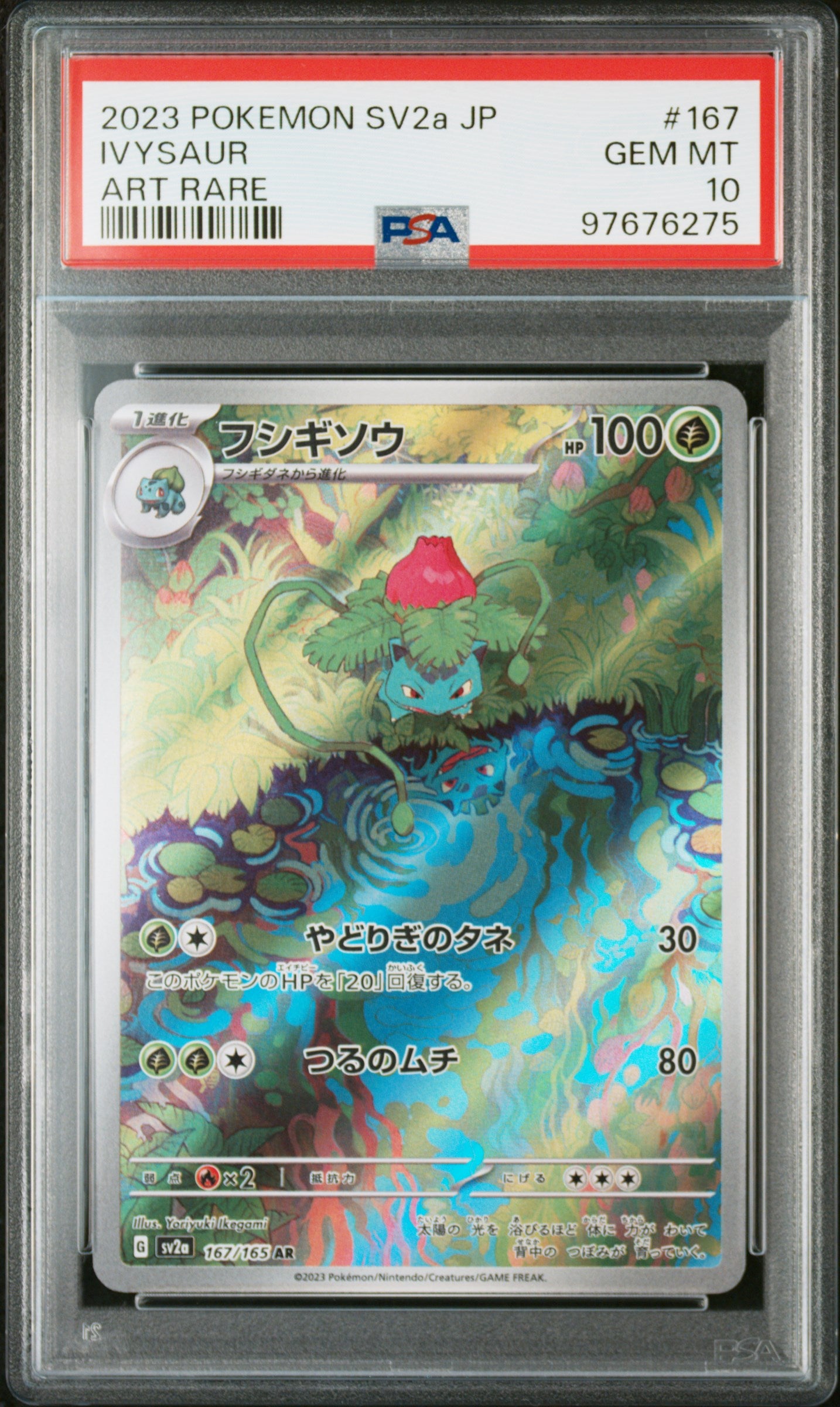 Card 81